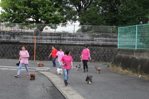 小倉北区お散歩