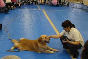 小倉北区ヘルシーハイム