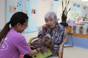 さわやか参番館でのドッグセラピー活動は笑顔がいっぱい