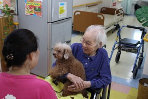 北九州市小倉北区住宅型有料老人ホーム