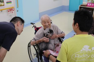 福岡県北九州市は車いすでもドッグセラピーで笑顔