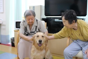 小倉北区大畠のさわやか参番館でのドッグセラピー活動風景