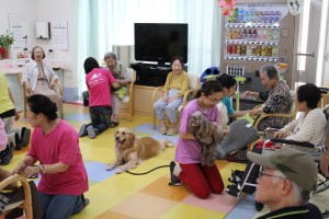 小倉北区でいぬとふれあい