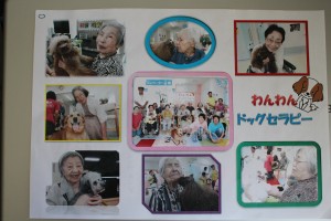 ドッグセラピー活動の感想