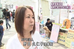 NHK 2015.09.20 動物愛護週間.mp4_000065831