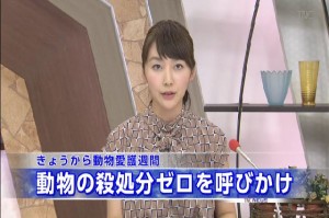 TNC 2015.09.20 動物愛護週間.mp4_000017980