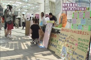 NHK 2015.09.20 動物愛護週間.mp4_000079047