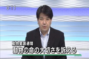 NHK 2015.09.20 動物愛護週間.mp4_000013600