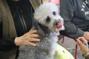 可愛く見える角度を知っているディアちゃん（笑)