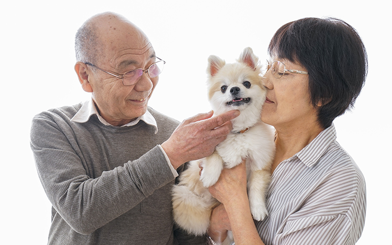 高齢者と犬