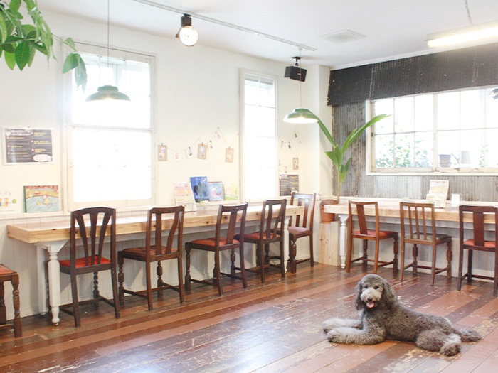 犬カフェ