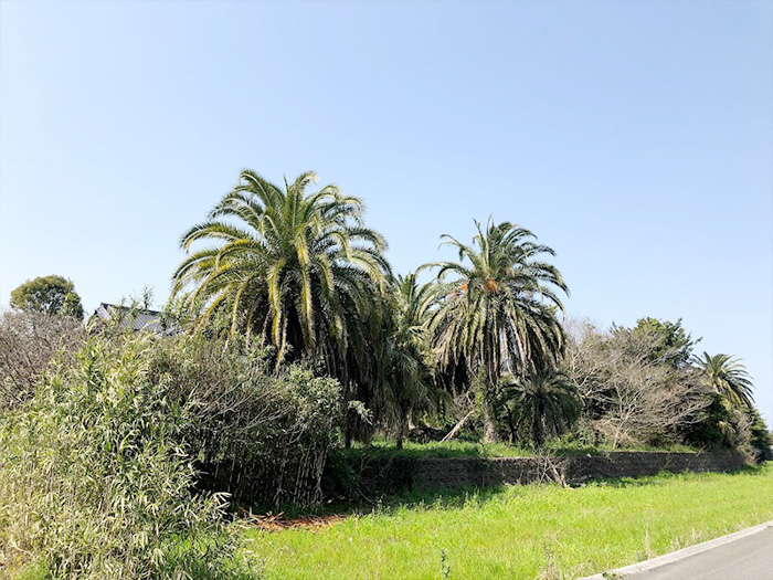 社会福祉施設等施設整備補助金採択