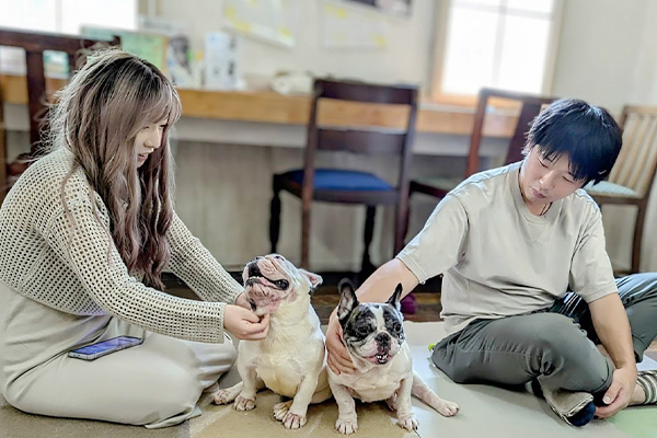 犬と人が向き合い、関わりを確認する様子
