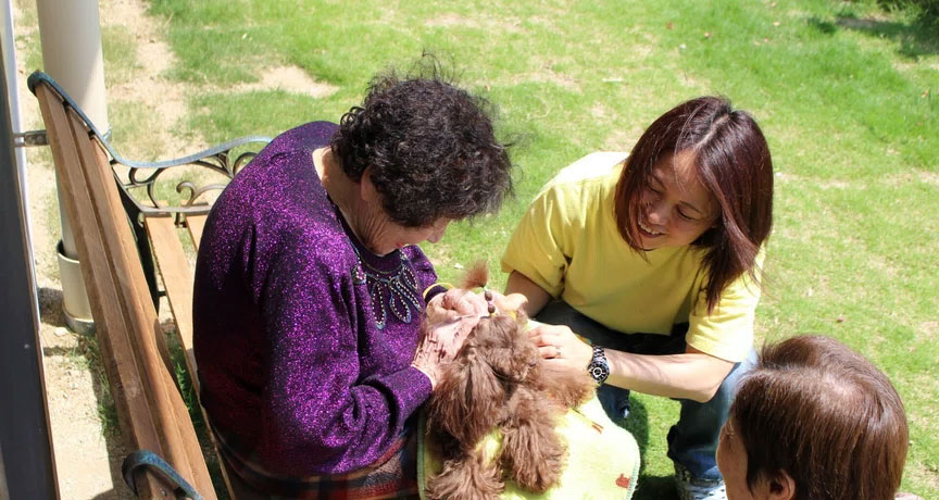 実録・ドッグセラピー。犬が心をひらいた日